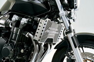 HONDA ホンダ ＜PROJECT BIG-1 Final Edition 記念商品＞TSR ラジエターコアガード ファイナルエディショ…