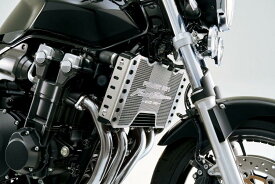 HONDA ホンダ ＜PROJECT BIG-1 Final Edition 記念商品＞TSR ラジエターコアガード ファイナルエディション CB1300 SUPER FOUR ラジエーターコアガード・オイルクーラーコアガード 冷却関連 エンジン