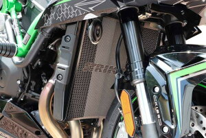 STRIKER XgCJ[ WG^[RAK[h Z H2 KAWASAKI JTL WG[^[RAK[hEICN[[RAK[h p֘A GW