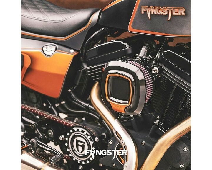 楽天市場】FANGSTER ファングスター エアクリーナー ミルウォーキー 
