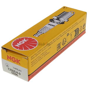 NGK GkW[P[ WvO CR8EH-9 5666 HONDA z_ HYOSUNG q[X KYMCO LR vO _Όn GW