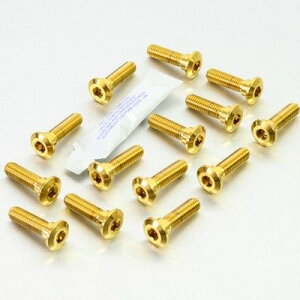 PRO BOLT v{g fBXN{g ER6-N GTR1400 Versys 1000 650 Z1000 Z750 ZX-10R Ninja ZX-12R ZX-6R 636 G1-G2 ZX-9R ZZR1400 Z H2 SX KAWASAKI JTL ėp{gElW