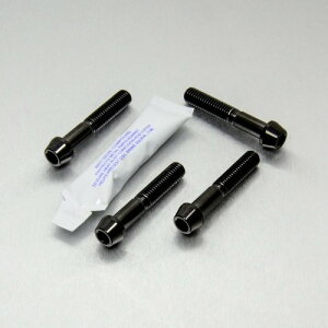 PRO BOLT v{g Stainless Steel Front Axle Pinch Bolt Set Africa Twin CRF1000L CB1300 CBR600RR ZZR1100 FJR1300 AS FJR1300A V-Max 1700 HONDA z_ KAWASAKI JTL YAMAHA }n ANXibg zC[֘A 