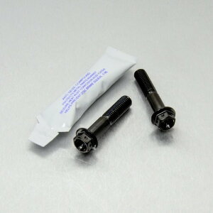 PRO BOLT v{g Stainless Steel Front Axle Pinch Bolt Set Race Spec CBF600S CBR650F KLV1000 DL650A V-Strom GSR600 GSX1300R Hayabusa CRF250L HONDA z_ KAWASAKI JTL SUZUKI XYL ANXibg zC[֘A 