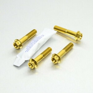 PRO BOLT v{g Stainless Steel Front Axle Pinch Bolt Set Race Spec APRILIA AvA HONDA z_ KAWASAKI JTL MOTOGUZZI gOb` SUZUKI XYL YAMAHA }n ANXibg zC[֘A 