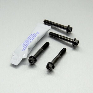PRO BOLT �v���{���g Stainless Steel Front Axle Pinch Bolt Set Caponord 1200 Dorsoduro Tuono V4R V4 1100RR RSV4 Factory 900 APRILIA �A�v�����A �A�N�X���i�b�g �z�C�[���֘A �����