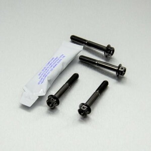 PRO BOLT �v���{���g Stainless Steel Front Axle Pinch Bolt Set Race Spec Caponord 1200 Dorsoduro Tuono V4R V4 1100RR RSV4 Factory 900 APRILIA �A�v�����A �A�N�X���i�b�g �z�C�[���֘A �����