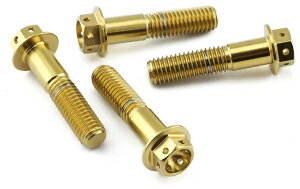PRO BOLT v{g Stainless Steel Front Axle Pinch Bolt Set Race Spec CBR1000RR Fireblade CRF250R CRF450R DRZ400S GSX-R1000 GSX-R600 GSX-R750 YZ250F YZ450F HONDA z_ SUZUKI XYL YAMAHA }n ANXibg zC[֘A 