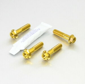 PRO BOLT �v���{���g Stainless Steel Front Brake Mounting Bolt Kit R1200GS R1200S 990 Adventure Ninja 650 BMW KTM KAWASAKI �J���T�L �L�����p�[�{���g�E�}�E���g�{���g �u���[�L