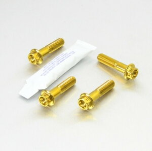 PRO BOLT �v���{���g Stainless Steel Front Brake Mounting Bolt Kit Race Spec R1200GS R1200S 990 Adventure Ninja 650 BMW KTM KAWASAKI �J���T�L �L�����p�[�{���g�E�}�E���g�{���g �u���[�L