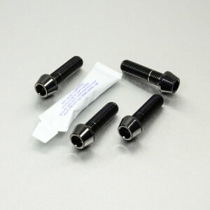 PRO BOLT v{g Stainless Steel Front Brake Mounting Bolt Kit NA850 Mana RSV1000 Mille Tuono R Fighter Sprint ST APRILIA AvA TRIUMPH gCAt Lp[{gE}Eg{g u[L