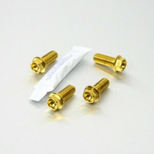 PRO BOLT �v���{���g Stainless Steel Front Brake Mounting Bolt Kit KLV1000 DL1000 V-Strom DL650 DL650A GSF600 Bandit GSF650 GSR750 GSR750Z SFV650 Gladius SV650 SV650S KAWASAKI �J���T�L SUZUKI �X�Y�L �L�����p�[�{���g�E�}�E���g�{��