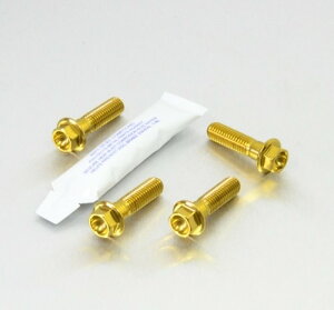 PRO BOLT v{g Stainless Steel Front Brake Mounting Bolt Kit CB1300 CB600 Hornet CBF1000 CBF600S CBR400RR Tri Arm Gull CBR600 CBR600RR CBR650F DN01 680 VFR750 XL1000V Varadero XL700 VA Transalp CB1000R HONDA z_ Lp[{gE