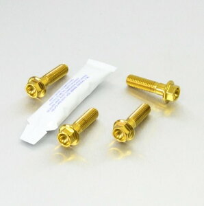 PRO BOLT v{g Stainless Steel Front Brake Mounting Bolt Kit K1300R R1200GS GSF1200 Bandit GSF650SA GSR600 GSX-R750 GSX1250FA GSX650F SV1000 SV1000S BMW SUZUKI XYL Lp[{gE}Eg{g u[L