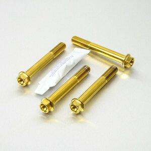 PRO BOLT v{g Stainless Steel Front Brake Mounting Bolt Kit Z1000 Z900RS ZX-10R Ninja YZF-R1 KAWASAKI JTL YAMAHA }n Lp[{gE}Eg{g u[L