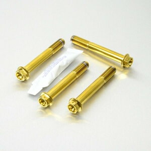 PRO BOLT v{g Stainless Steel Front Brake Mounting Bolt Kit Race Spec Z1000 Z900RS ZX-10R Ninja YZF-R1 KAWASAKI JTL YAMAHA }n Lp[{gE}Eg{g u[L