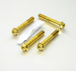 PRO BOLT v{g Stainless Steel Front Brake Mounting Bolt Kit 999R S Monster 821 VFR1200 FD 690 Duke ZX-6R 636 Daytona 675 DUCATI hDJeB HONDA z_ KTM KAWASAKI JTL TRIUMPH gCAt Lp[{gE}