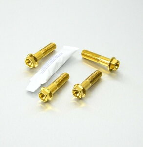 PRO BOLT v{g Stainless Steel Front Brake Mounting Bolt Kit Pegaso 650 Factory ER6-N Z750 ZRX1100 ZX-6R F1-F2-F3 Ninja G1-G2 ZX-7R P1-P7 ZX-9R B1-B4 C1-C2 APRILIA AvA KAWASAKI JTL Lp[{gE}Eg{