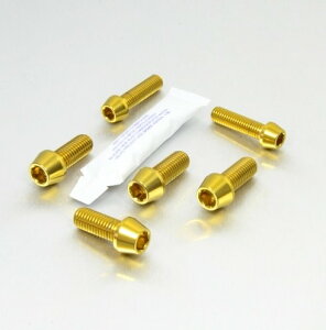 PRO BOLT v{g Stainless Steel Front  Rear Caliper Mounting Bolt 748 916 996 998 DUCATI hDJeB Lp[{gE}Eg{g u[L