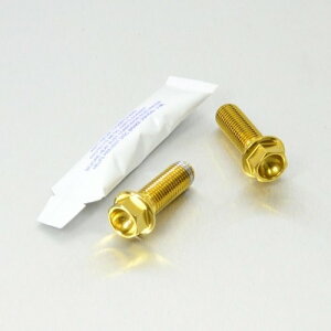 PRO BOLT v{g Stainless Steel Rear Brake Mounting Bolt Kit XDiavel V-Max 1200 XJR1200 XJR1300 XJR1300SP DUCATI hDJeB YAMAHA }n Lp[{gE}Eg{g u[L