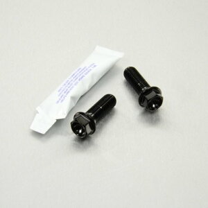 PRO BOLT �v���{���g Stainless Steel Rear Brake Mounting Bolt Kit DN01 680 Tiger Explorer FZS1000 Fazer FZS600 XJR1300 XJR1300SP YZF-R1 HONDA �z���_ TRIUMPH �g���C�A���t YAMAHA ���}�n �L�����p�[�{���g�E�}�E���g�{���g �u��