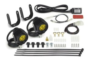 SP武川 SPタケガワ LEDフォグランプキット3.0(950/レモンイエロー)(2個入)/ADV150(KF38)/ADV160(KF54) フロアステップサイドバー装着車 ADV150 ADV160 HONDA ホンダ フォグランプ 灯火類 電装系
