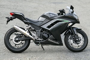 RPM A[s[G 80D-RAPTOR tGL][Xg}t[ jW250 Z250 KAWASAKI JTL }t[ TCT[AE^[Jo[FXeX