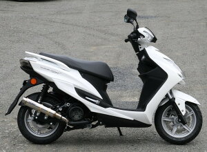 RPM A[s[G 80D-RAPTORtGL][Xg}t[ VOiXX YAMAHA }n tGL][Xg}t[ }t[ TCT[Jo[fށFXeX