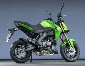 YAMAMOTO RACING }g[VO XybNA _E tGL][Xg}t[ TYPE-1 Z125 PRO KAWASAKI JTL }t[