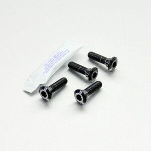 PRO BOLT �v���{���g �f�B�X�N�{���g ER6-F ER6-N Ninja 1000 SX ZX-6R Versys 650 Z H2 Z1000 Z750 Z900RS Z900 ZX-10R BF-CF SGF 636 AF-BF P7-P8 ZZR1100 C-D ZZR1400 KAWASAKI �J���T�L ���[�^�[�{���g �u���[�L