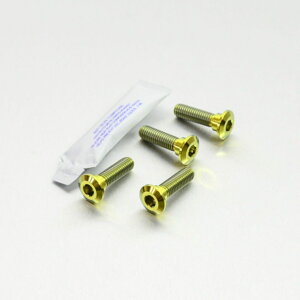 PRO BOLT v{g fBXN{g ER6-F ER6-N Ninja 1000 SX ZX-6R Versys 650 Z H2 Z1000 Z750 Z900RS Z900 ZX-10R BF-CF SGF 636 AF-BF P7-P8 ZZR1100 C-D ZZR1400 KAWASAKI JTL [^[{g u[L