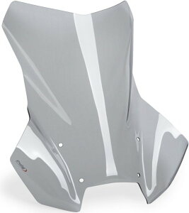 Puig �v�[�` �c�[�����O�X�N���[�� Plus (TOURING SCREEN Plus) R1300GS ADVENTURE BMW �X�N���[�� �O��