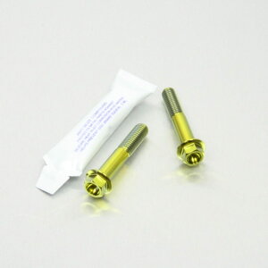 PRO BOLT v{g tgANXs`{gZbg CB1000R CB600 Hornet CBF1000GT CBF1000 CBR600FA CBR600 VFR800 V-TEC GSF1200 Bandit GSF600 GSX-R750 SV650 HONDA z_ SUZUKI XYL ̑ANX֘AIvV