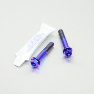 PRO BOLT プロボルト フロントアクスルピンチボルトセット CB1000R CB600 Hornet CBF1000GT CBF1000 CBR600FA CBR600 VFR800 V-TEC GSF1200 Bandit GSF600 GSX-R750 SV650 HONDA ホンダ SUZUKI スズキ その他アクスル関連オプショ