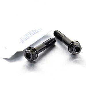 PRO BOLT �v���{���g �t�����g�A�N�X���s���`�{���g�Z�b�g CB1000R CB600 Hornet CBF1000GT CBF1000 CBR600FA CBR600 VFR800 V-TEC GSF1200 Bandit GSF600 GSX-R750 SV650 HONDA �z���_ SUZUKI �X�Y�L ���̑��A�N�X���֘A�I�v�V��