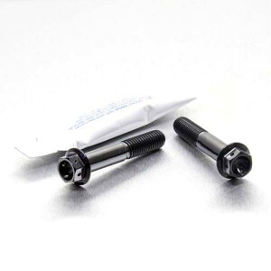 PRO BOLT v{g tgANXs`{gZbg CB1000R CB600 Hornet CBF1000GT CBF1000 CBR600FA CBR600 VFR800 V-TEC GSF1200 Bandit GSF600 GSX-R750 SV650 HONDA z_ SUZUKI XYL ̑ANX֘AIvV