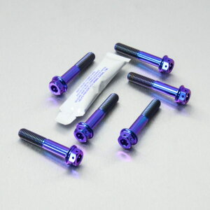 PRO BOLT �v���{���g �t�����g�L�����p�[�s���`�{���g�Z�b�g VFR800 V-TEC HONDA �z���_ �L�����p�[�{���g�E�}�E���g�{���g �u���[�L