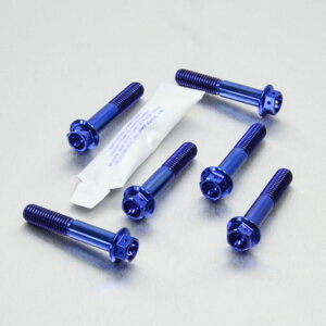 PRO BOLT �v���{���g �t�����g�L�����p�[�s���`�{���g�Z�b�g VFR800 V-TEC HONDA �z���_ �L�����p�[�{���g�E�}�E���g�{���g �u���[�L