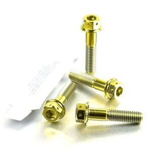 PRO BOLT v{g tgANXs`{gZbg CBR1000RR Fireblade CRF250R CRF450R DRZ400S GSX-R1000 L7+ GSX-R600 L1+ GSX-R750 YZ250F YZ450F HONDA z_ SUZUKI XYL YAMAHA }n ̑ANX֘AIv