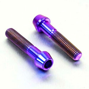 PRO BOLT v{g tgANXs`{gZbg R1150GS Adventure CBR650F Bobber Black Daytona 955i Legend TT Rocket 3 2300cc Speed Triple 1050cc Sprint RS ST Tiger MT-125 XT1200Z Super Tenere BMW HONDA z_ TRIUMPH g