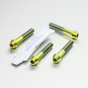 PRO BOLT v{g tgANXs`{gZbg Africa Twin CRF1000L CB1300 CBR600RR ZZR1100 C-D FJR1300 AS FJR1300A V-Max 1700 HONDA z_ KAWASAKI JTL YAMAHA }n ̑ANX֘AIvV