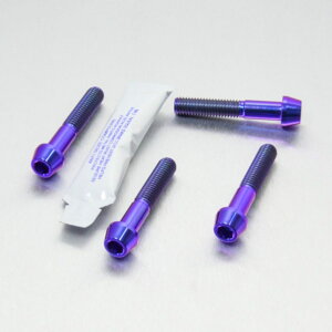 PRO BOLT v{g tgANXs`{gZbg Africa Twin CRF1000L CB1300 CBR600RR ZZR1100 C-D FJR1300 AS FJR1300A V-Max 1700 HONDA z_ KAWASAKI JTL YAMAHA }n ̑ANX֘AIvV