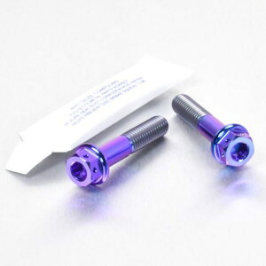 PRO BOLT v{g tgANXs`{gZbg CBF600S CBR650F CRF250L KLV1000 DL650A V-Strom GSR600 GSX1300R Hayabusa HONDA z_ KAWASAKI JTL SUZUKI XYL ̑ANX֘AIvVEC