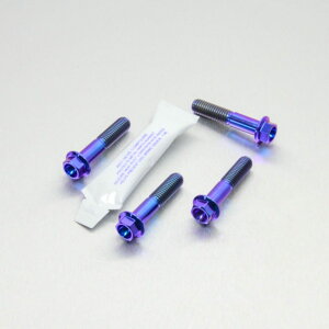 PRO BOLT v{g tgANXs`{gZbg APRILIA AvA HONDA z_ KAWASAKI JTL MOTOGUZZI gOb` SUZUKI XYL YAMAHA }n ̑ANX֘AIvVECi
