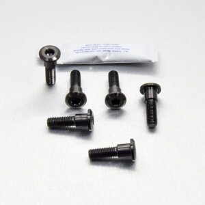 PRO BOLT �v���{���g �f�B�X�N�{���g RC 125 390 Daytona 1200 Rocket 3 2300cc Speed Triple 955i Sprint 900 Trident Trophy KTM TRIUMPH �g���C�A���t ���[�^�[�{���g �u���[�L