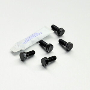 PRO BOLT v{g fBXN{g Dorsoduro 750 NA850 Mana RSV4 RF Tuono V4 1100RR V4R APRILIA AvA [^[{g u[L