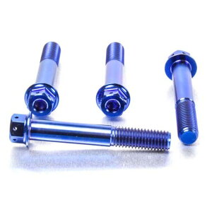 PRO BOLT v{g tgu[LLp[}EeBO{gLbg HP4 R Nine T Sport R1200GS TE R1250GS Adventure S1000RR S1000R S1000XR BMW Lp[{gE}Eg{g u[L