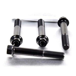 PRO BOLT �v���{���g �t�����g�u���[�L�L�����p�[�}�E���e�B���O�{���g�L�b�g HP4 R Nine T Sport R1200GS TE R1250GS Adventure S1000RR S1000R S1000XR BMW �L�����p�[�{���g�E�}�E���g�{���g �u���[�L