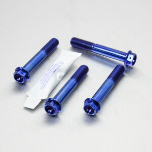 PRO BOLT v{g tgu[LLp[}EeBO{gLbg HP4 R Nine T Sport R1200GS TE R1250GS Adventure S1000RR S1000R S1000XR BMW Lp[{gE}Eg{g u[L