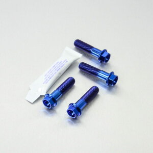 PRO BOLT v{g tgu[LLp[}EeBO{gLbg Pegaso 650 Factory ER6-N Z750 ZRX1100 ZX-6R F1-F2-F3 Ninja G1-G2 ZX-7R P1-P7 ZX-9R B1-B4 C1-C2 APRILIA AvA KAWASAKI JTL L